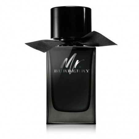 Burberry Mr. Burberry - Eau de Parfum, 100ml